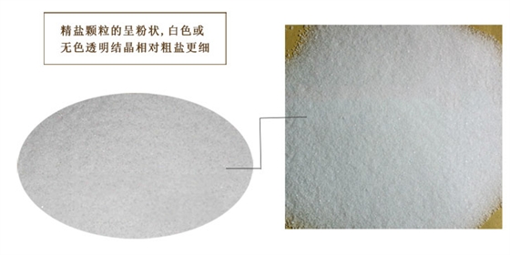 精(jing)鹽特寫(xiě)