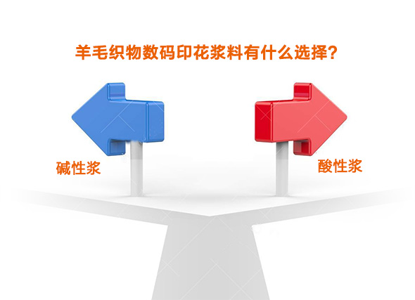 羊(yáng)毛織物數碼印花(huā)漿料有什麽選擇(zé)